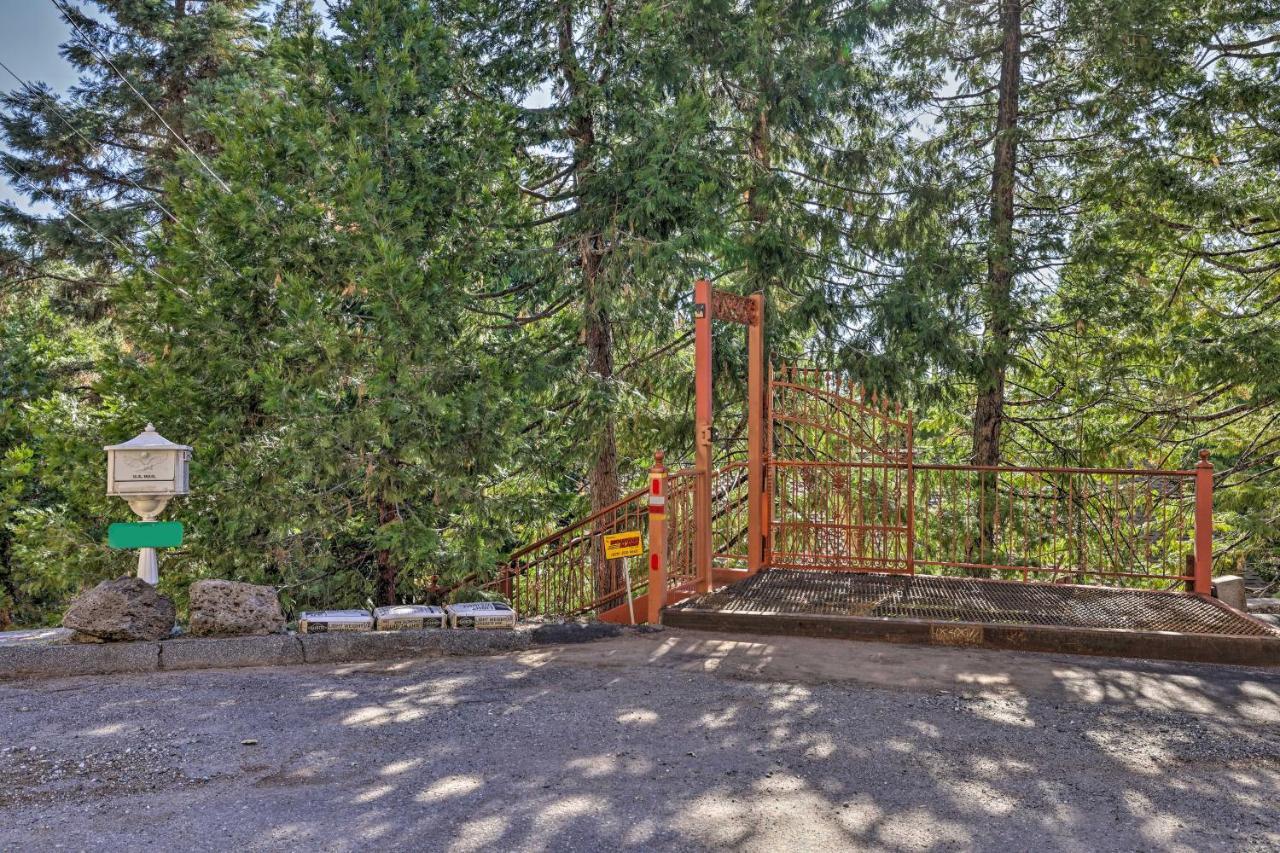 Quiet Twain Harte Cabin With Deck And Forest Views! Exteriör bild